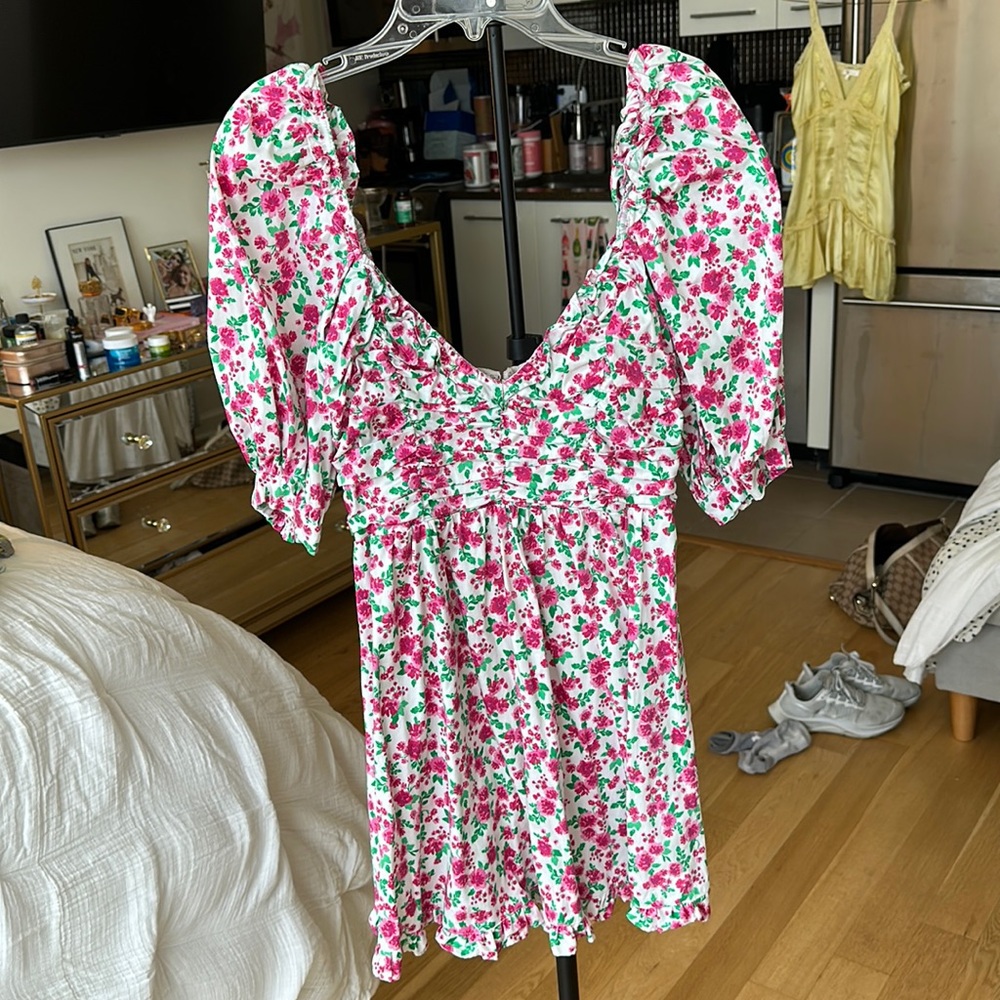 For Love & Lemons Pink and Green Rose Mini Dress Size Small
